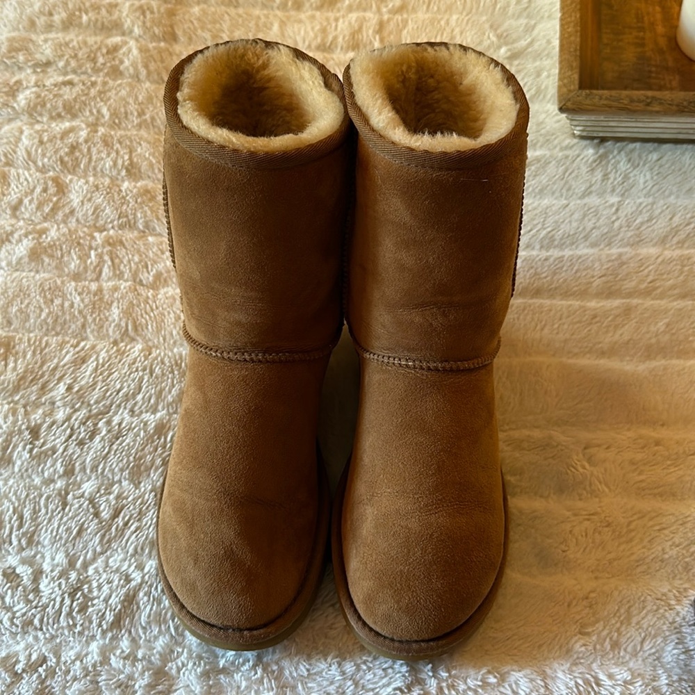 Classic short Ugg II